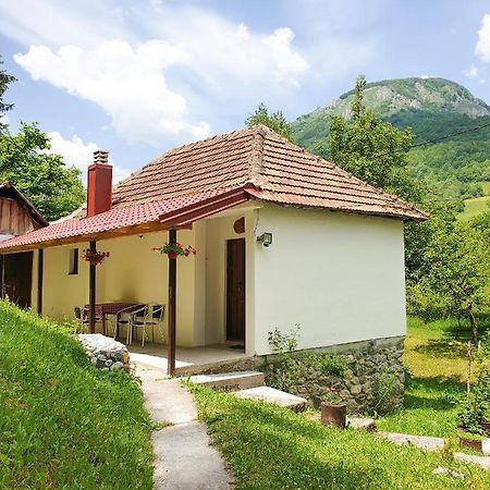 Farmstead Green Haven Mojkovac Exterior foto