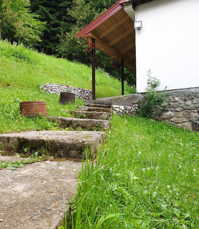 Farmstead Green Haven Mojkovac Exterior foto
